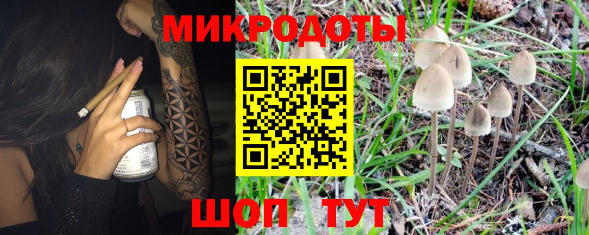 Галлюциногенные грибы мухоморы  Вход с VPN  Псилоцибиновые грибы Cubensis  Александров 